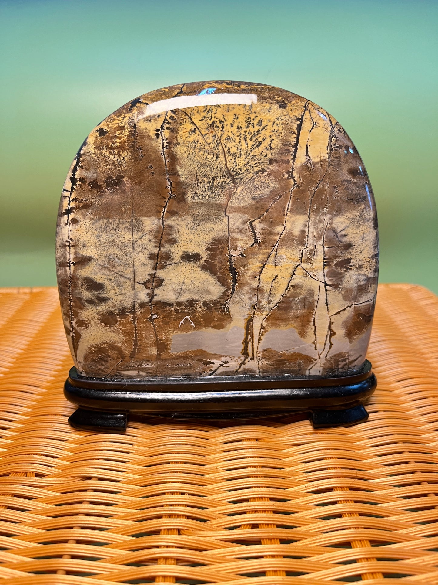 H1011 Picture jasper free form on holder