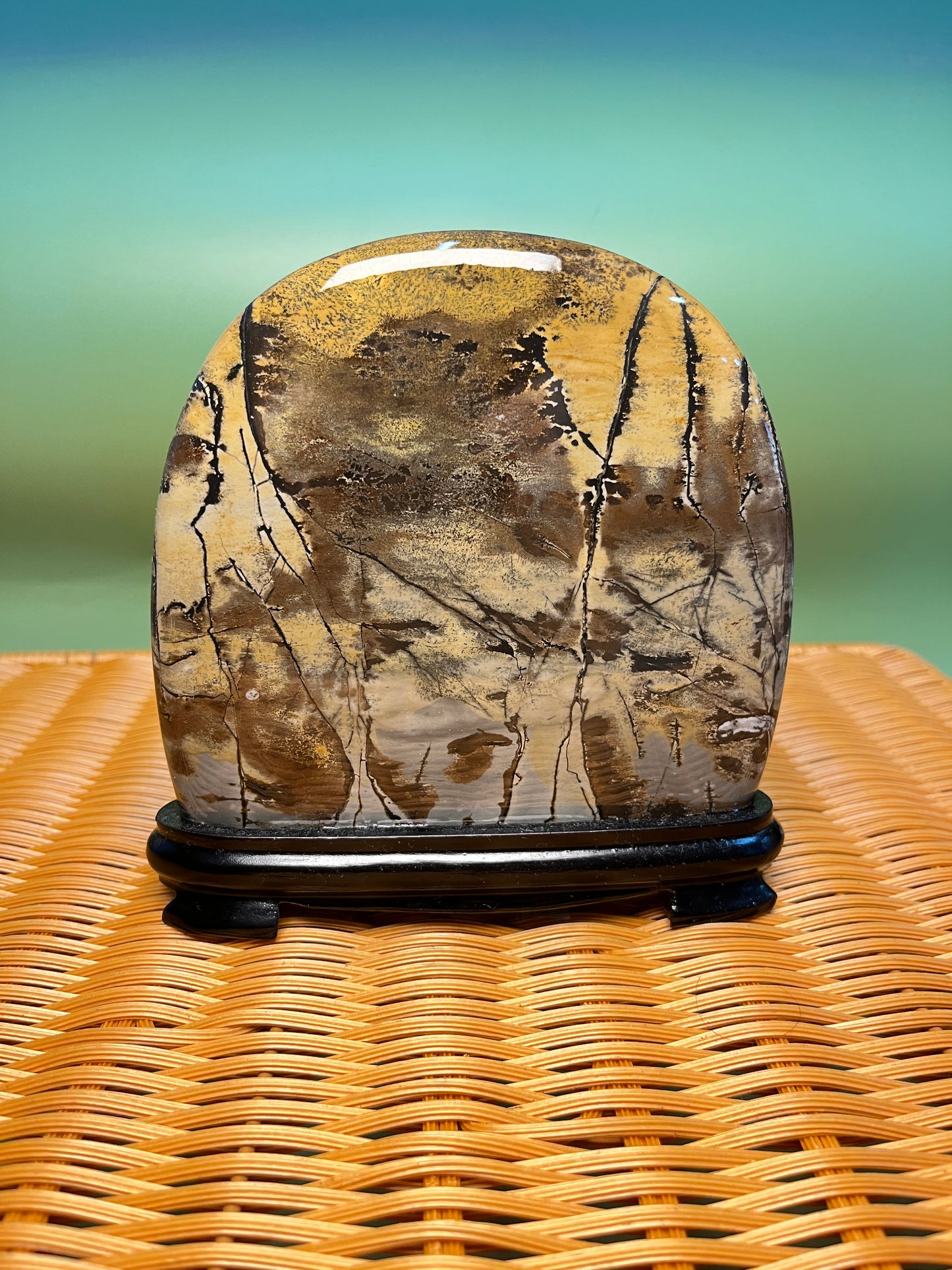 H1013 Picture jasper free form on holder