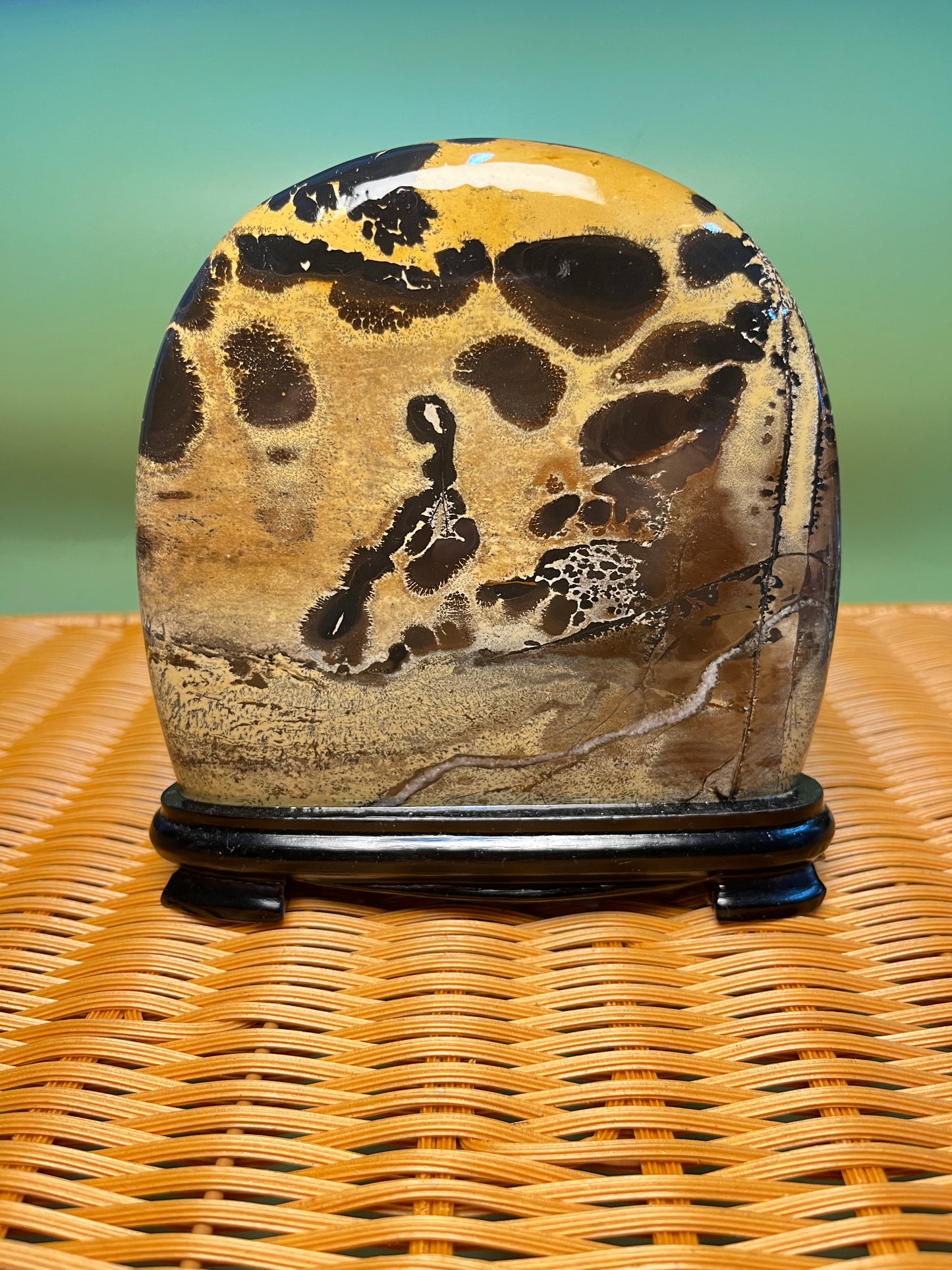 H1016 Picture jasper free form on holder