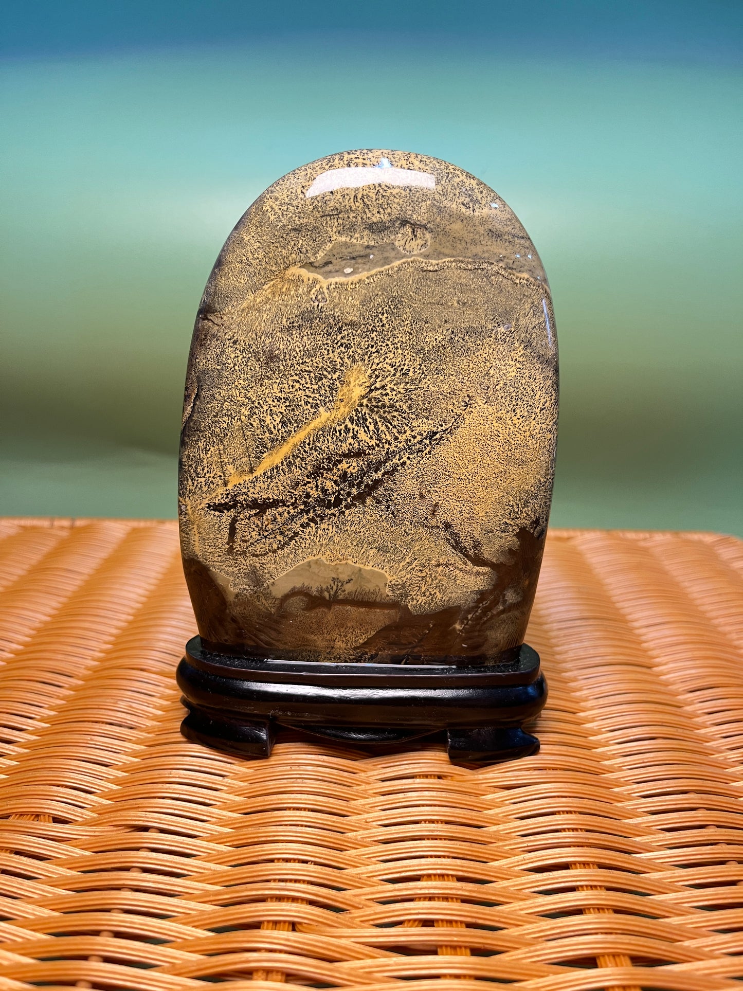 H1005 Picture jasper free form on holder