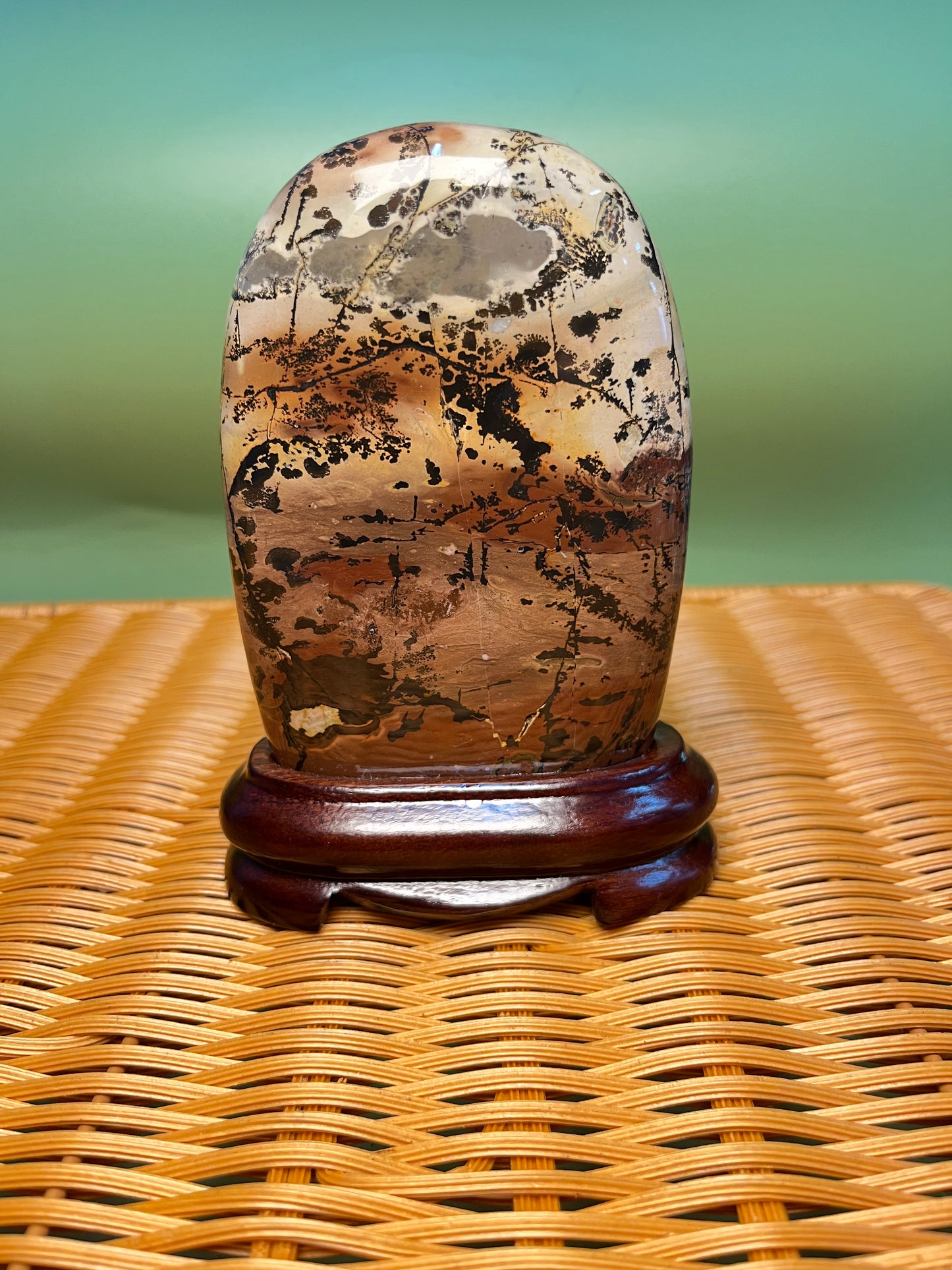 H1008 Picture jasper free form on holder