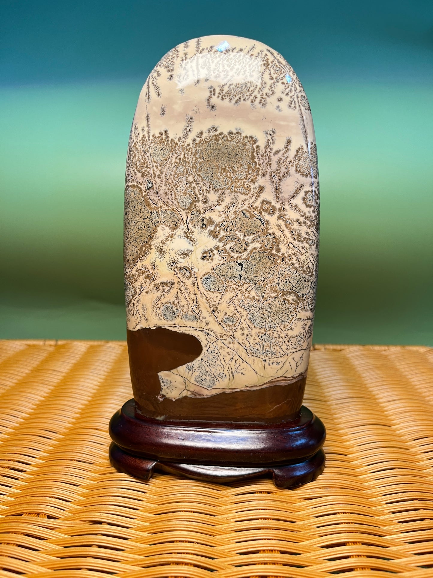 H1002 Picture jasper free form on holder