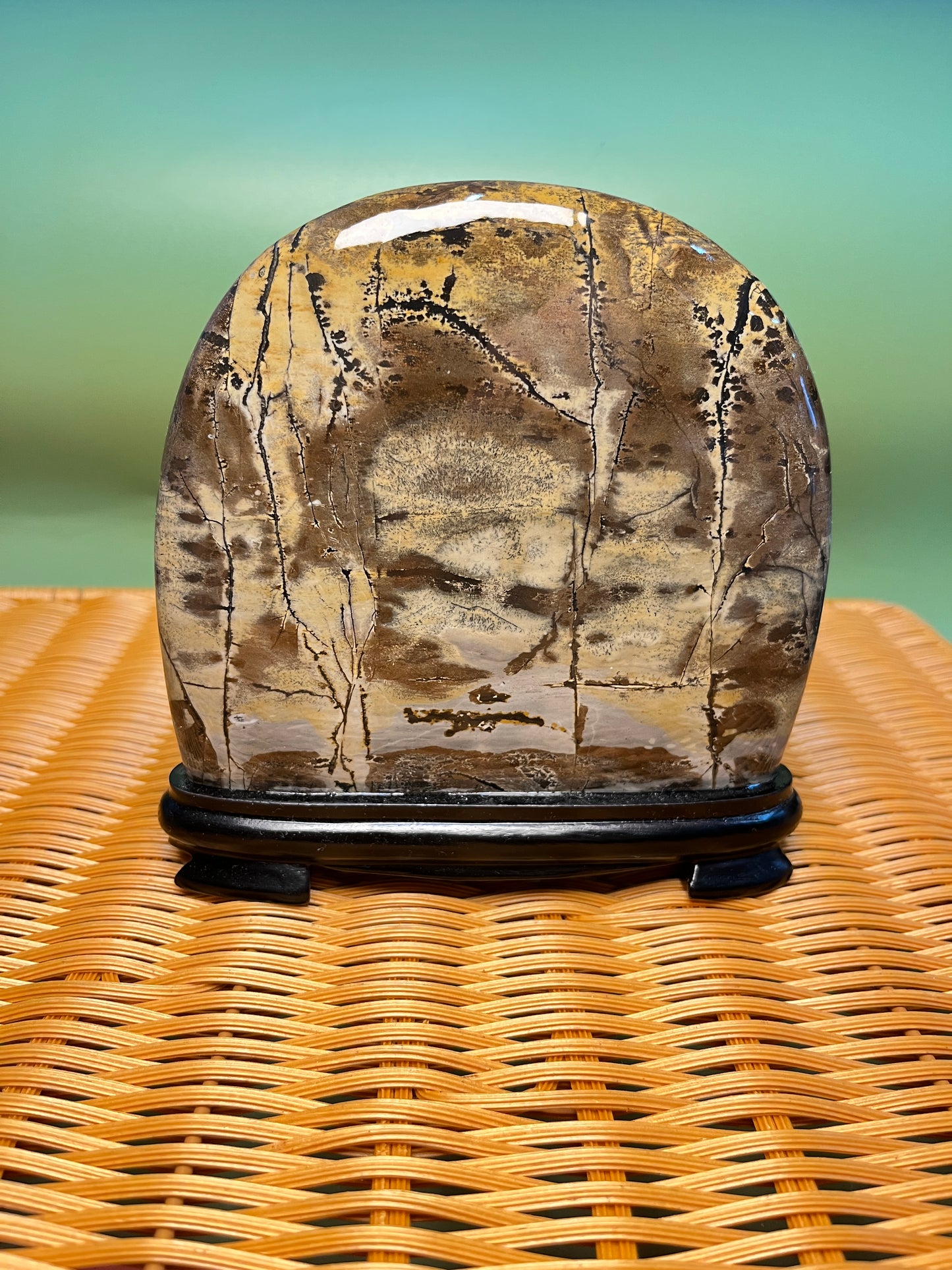 H1011 Picture jasper free form on holder