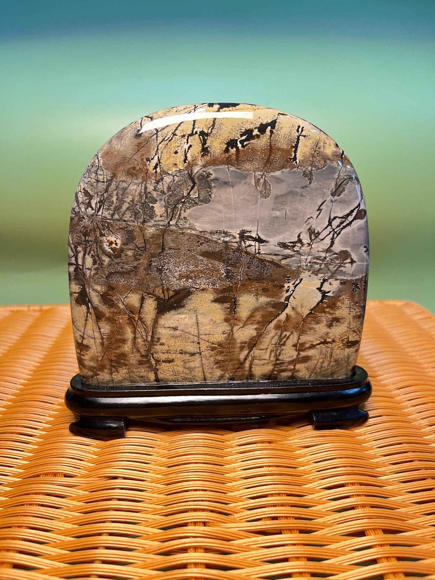 H1015 Picture jasper free form on holder