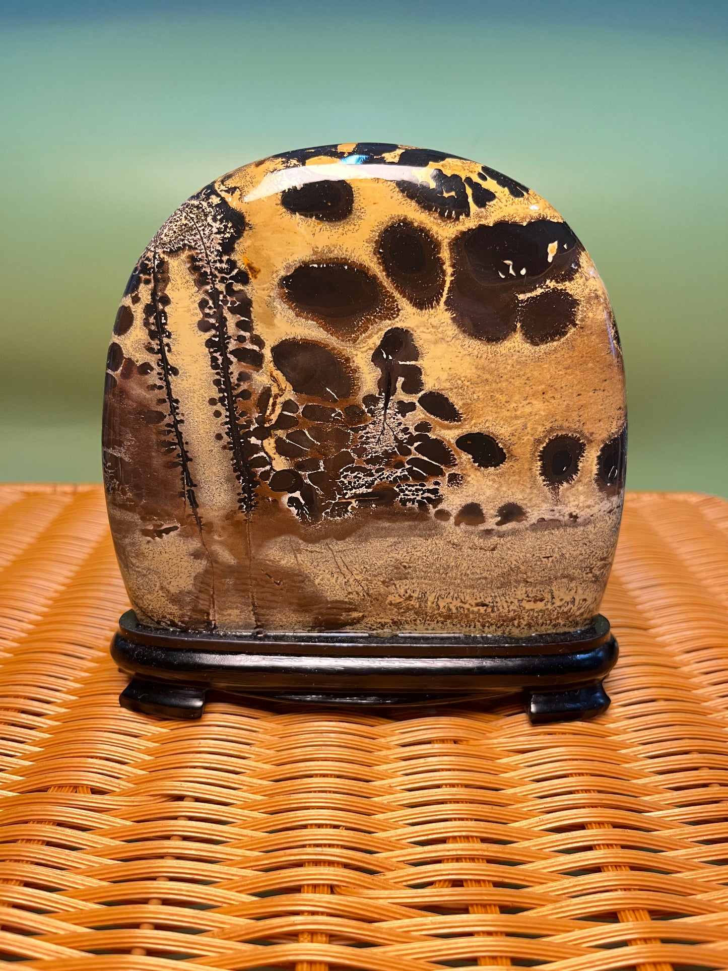 H1016 Picture jasper free form on holder