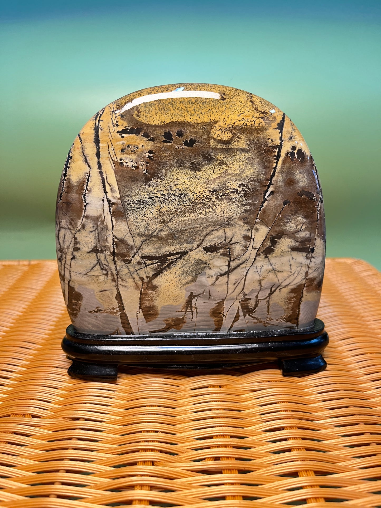 H1013 Picture jasper free form on holder