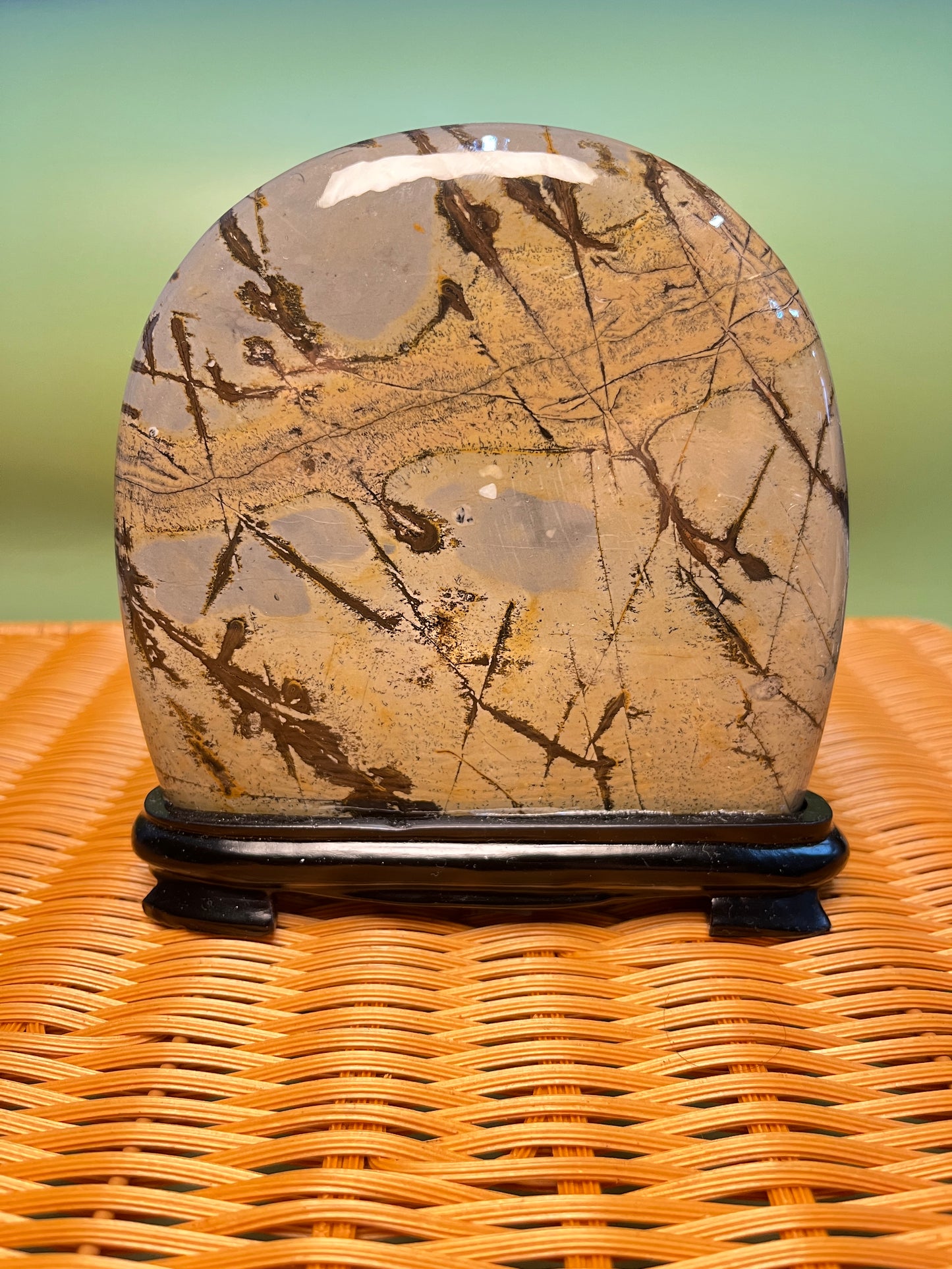 H1012 Picture jasper free form on holder