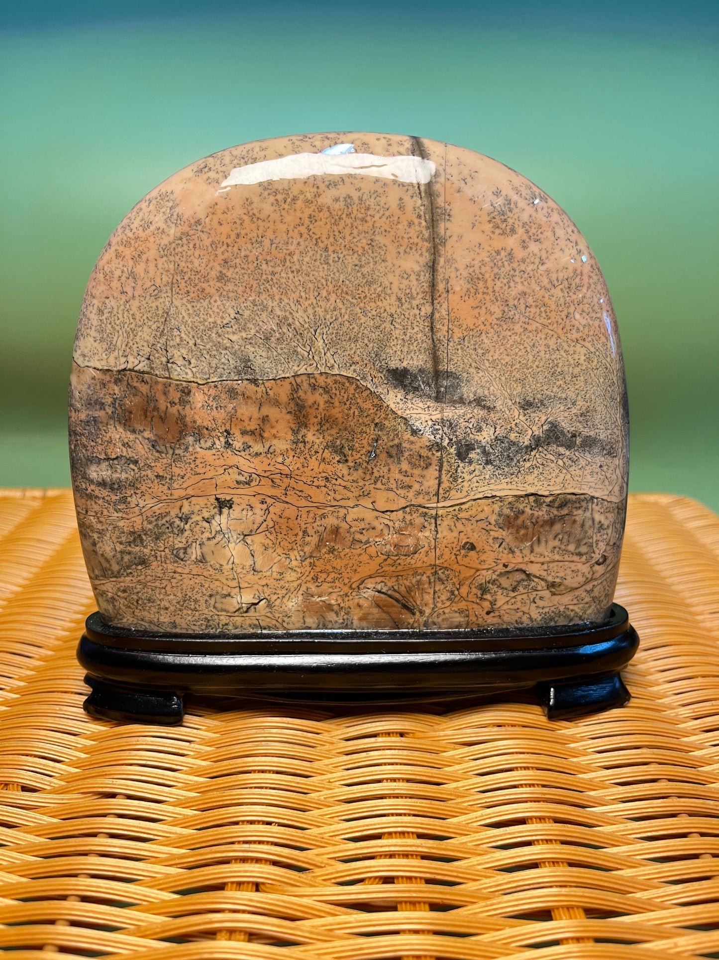 H1009 Picture jasper free form on holder