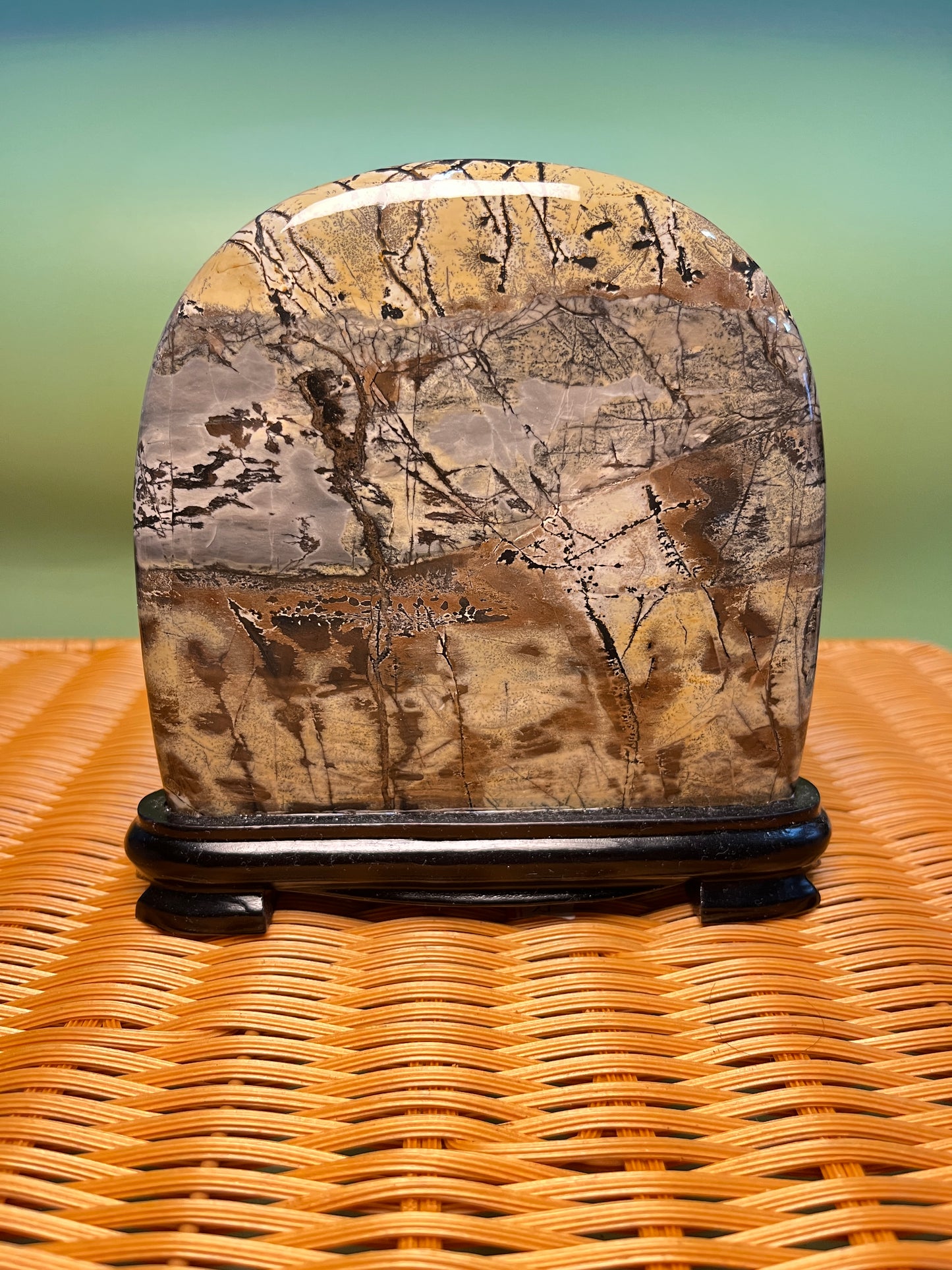 H1015 Picture jasper free form on holder