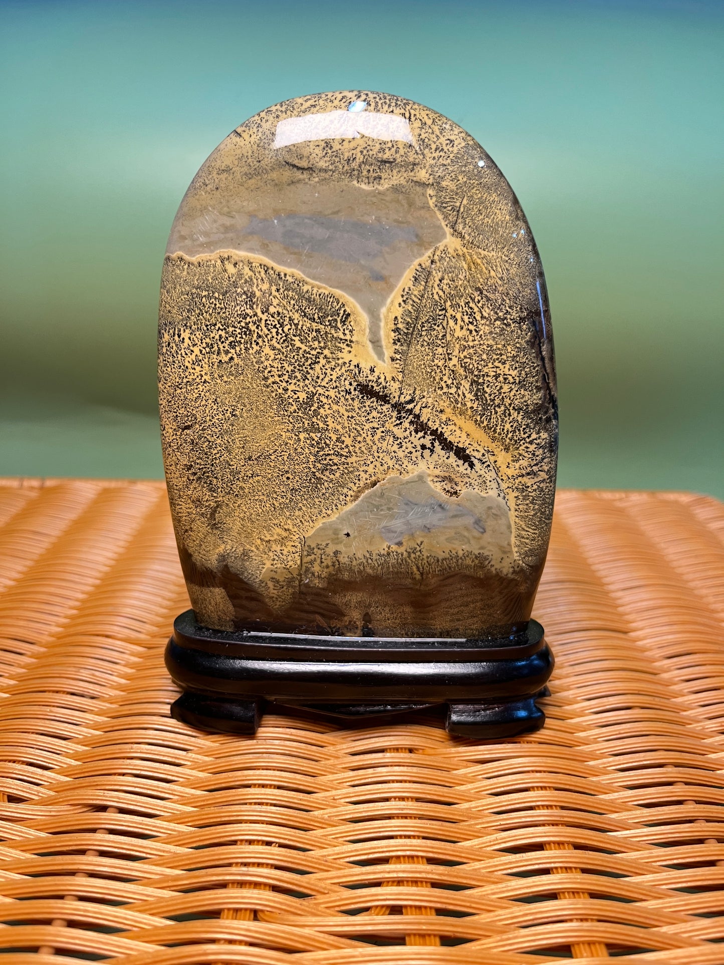 H1005 Picture jasper free form on holder