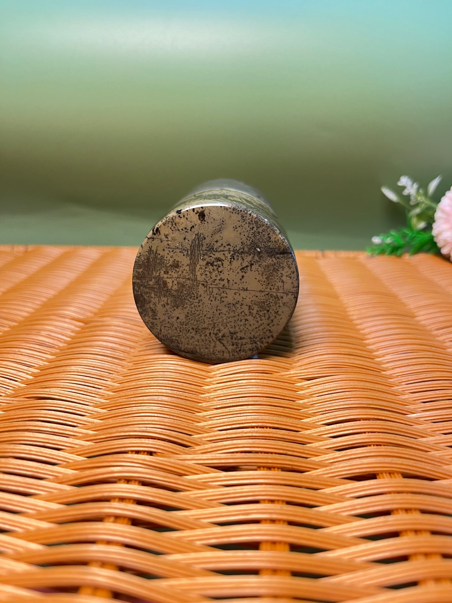 E1008 Picture jasper pen holder