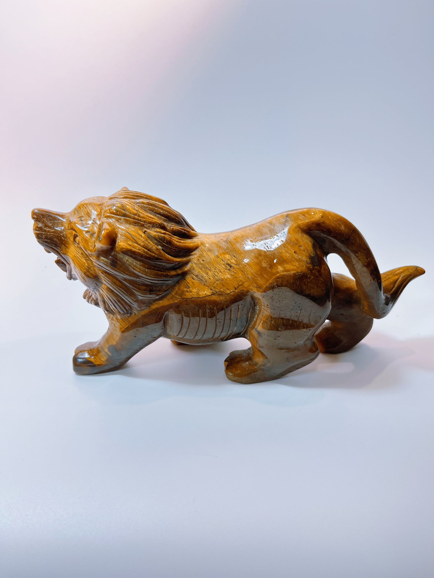 Yellow Tiger Eye Lion