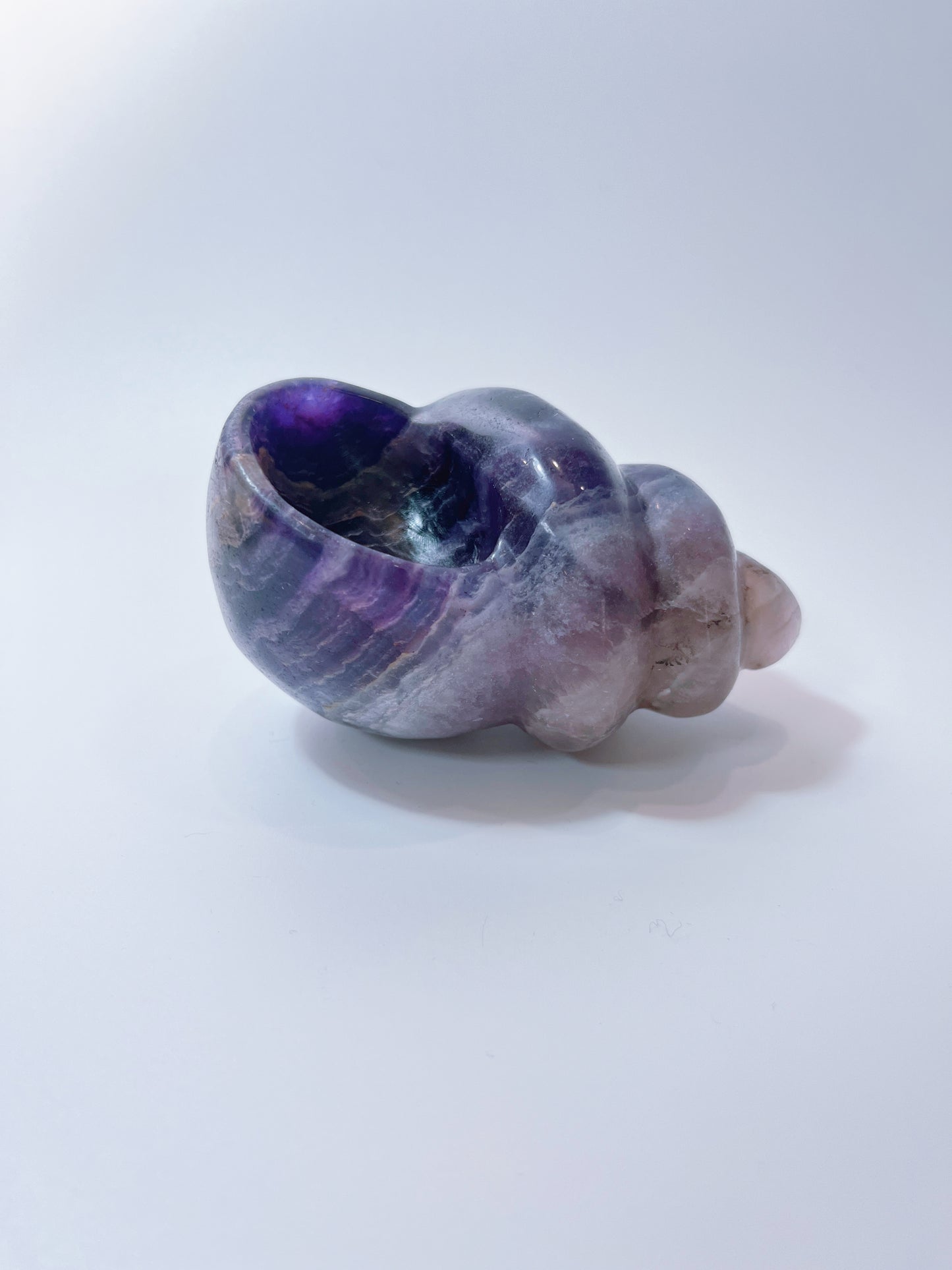 Purple Fluorite Snail