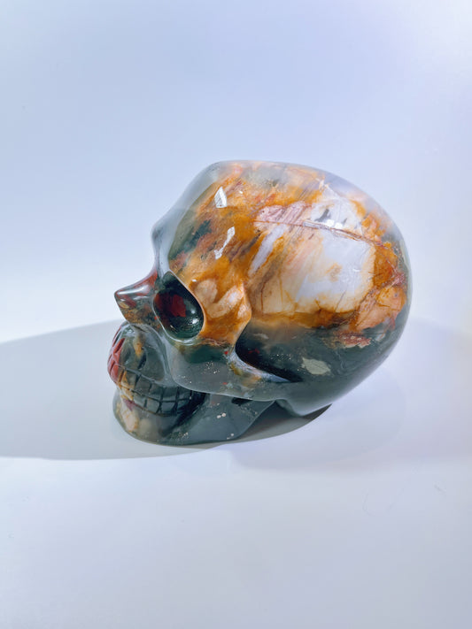 Medium-sized African Blood Stone Skull