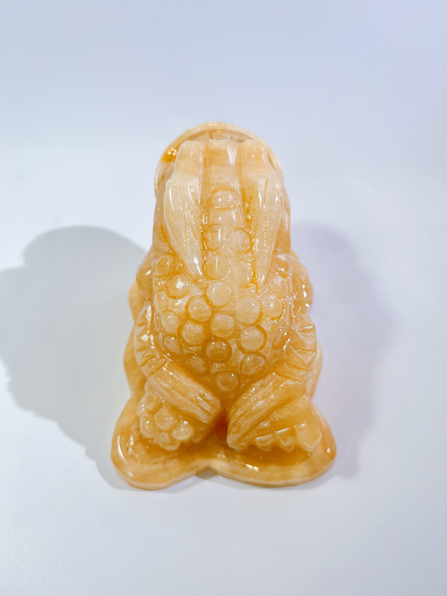 Yellow Jade Money Toad