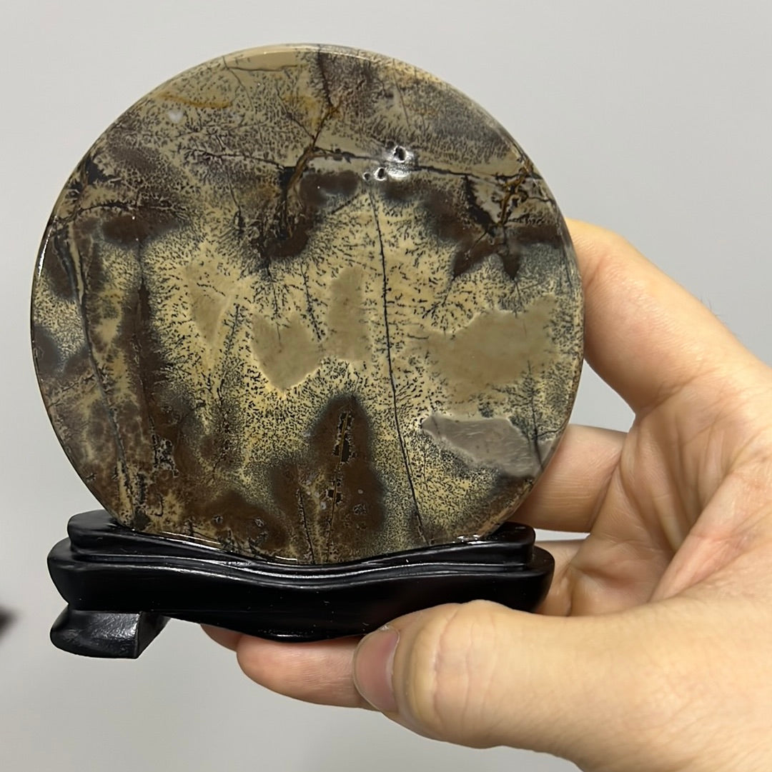 Picture jasper mini round slab 009