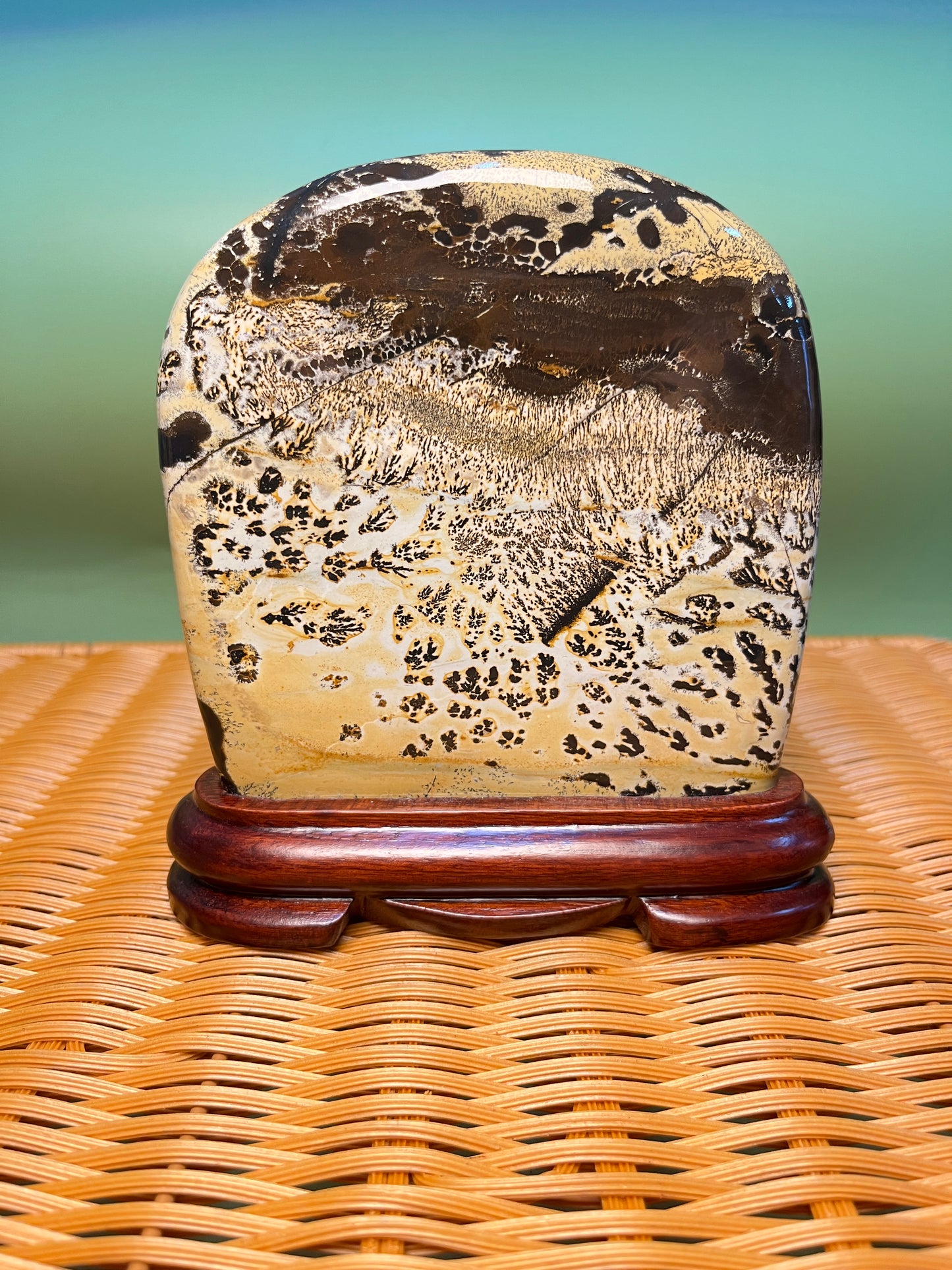 H1019 Picture jasper free form on holder