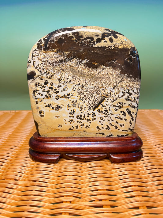 H1019 Picture jasper free form on holder