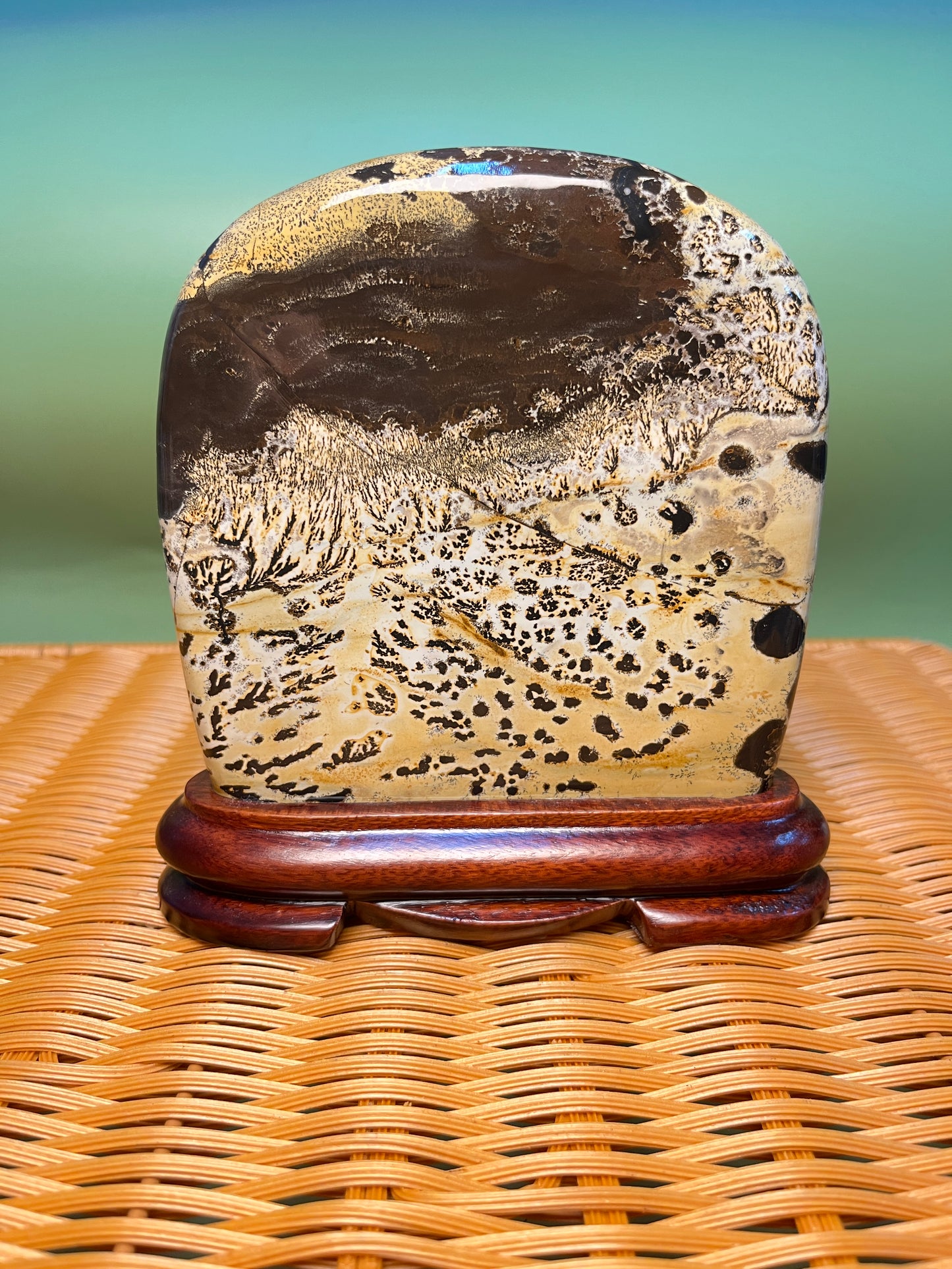 H1019 Picture jasper free form on holder
