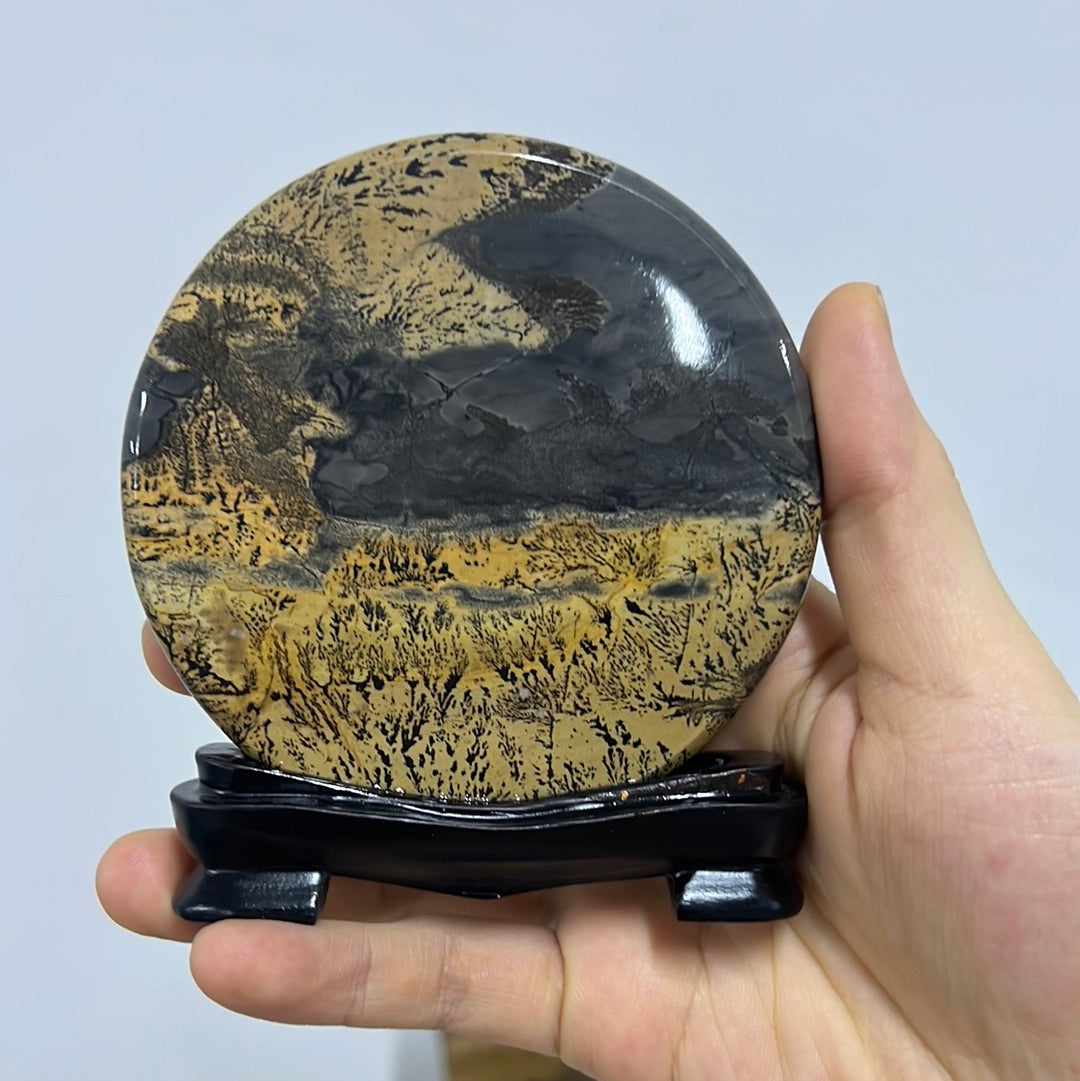 Picture jasper mini round slab 001