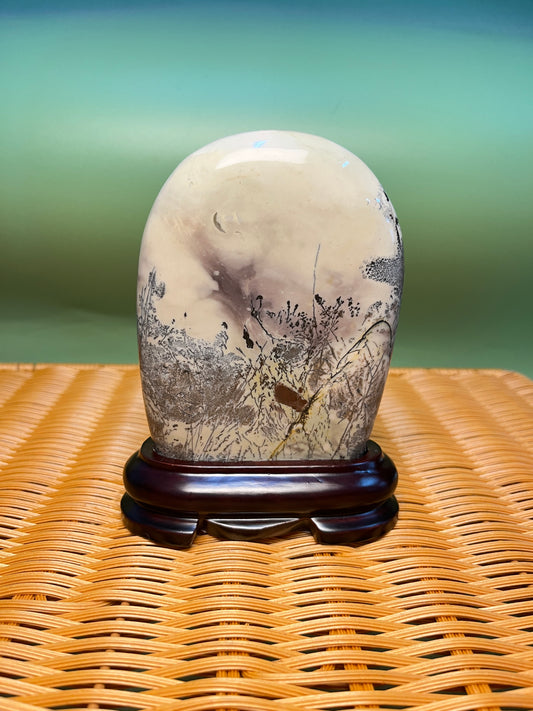 H1023 Picture jasper free form on holder