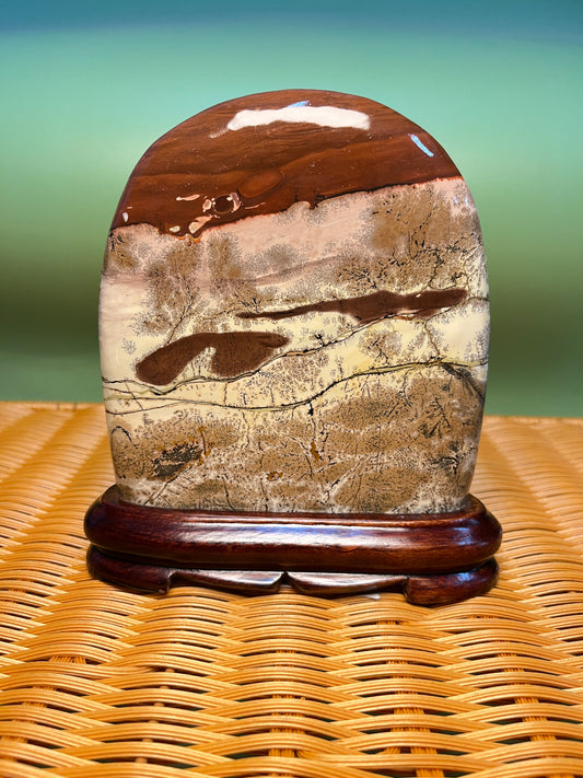H1017 Picture jasper free form on holder