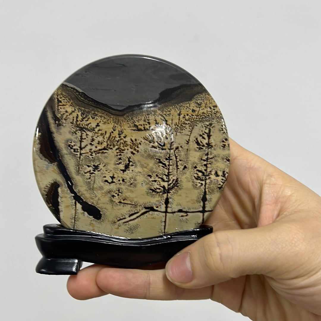 Picture jasper mini round slab 003