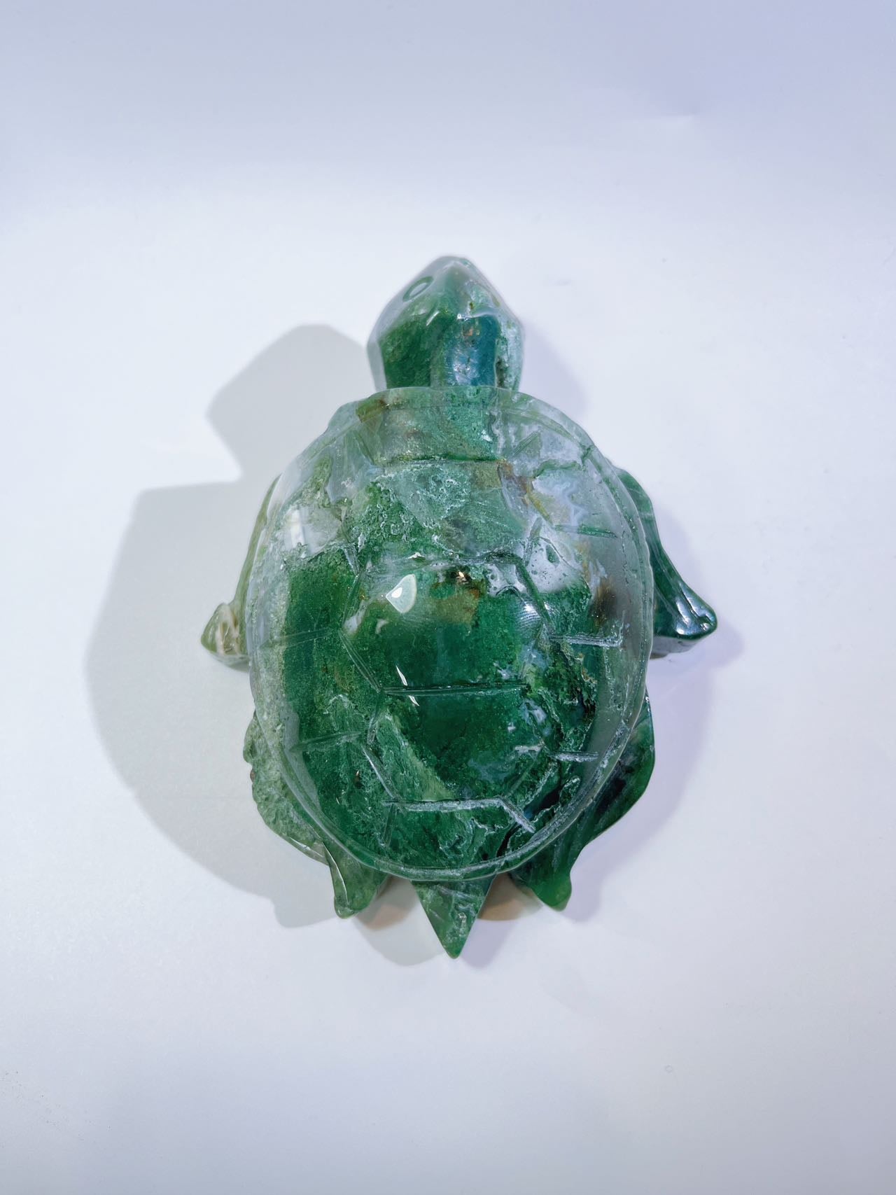 Medium-sized Moss Agate turtle