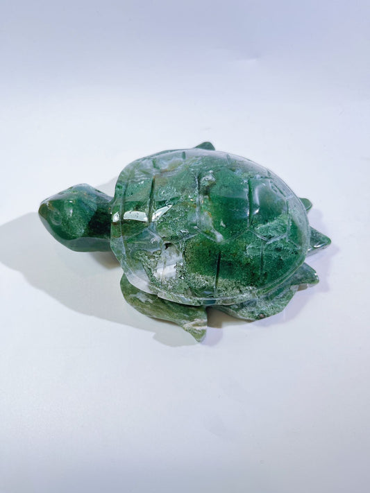 Medium-sized Moss Agate turtle